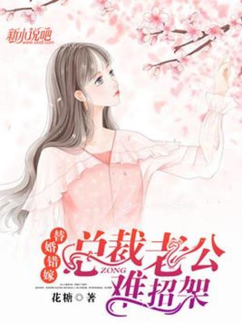 错嫁替婚总裁全文免费阅读_在线无弹窗大结局