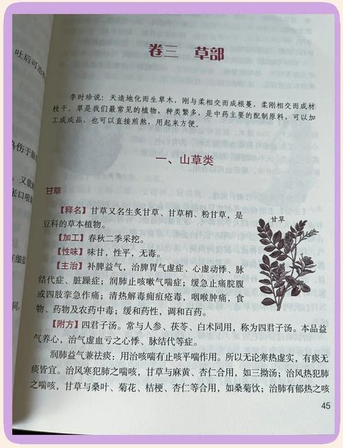 灵境行者全文在线阅读 - 热门玄幻小说无弹窗