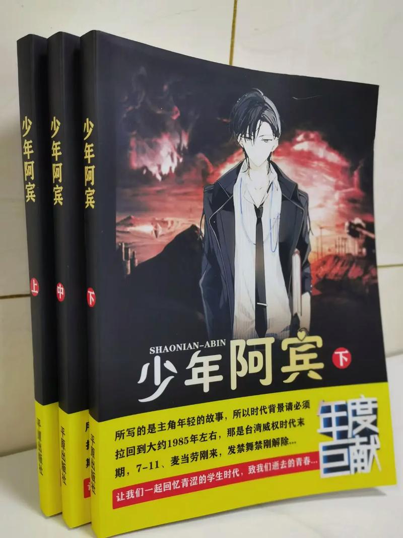 少年阿宾全文在线阅读 | 经典小说免费阅读