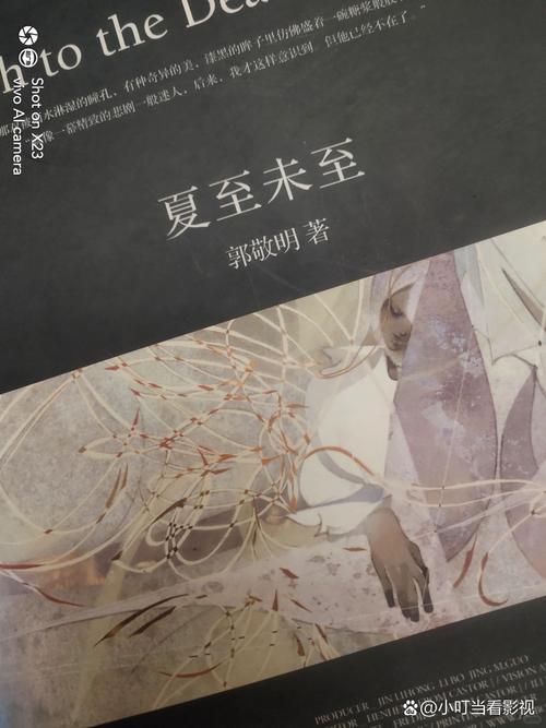 小清欢全文免费阅读 | 热门小说在线无广告版