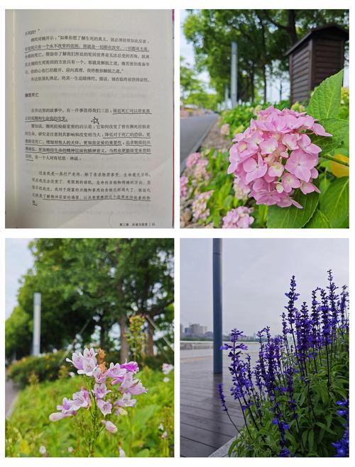诛仙全文在线阅读 | 仙侠经典小说完整版无弹窗