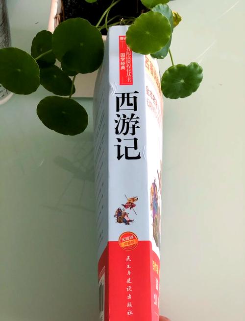 你是我的小确幸全文在线阅读｜甜宠小说章节更新
