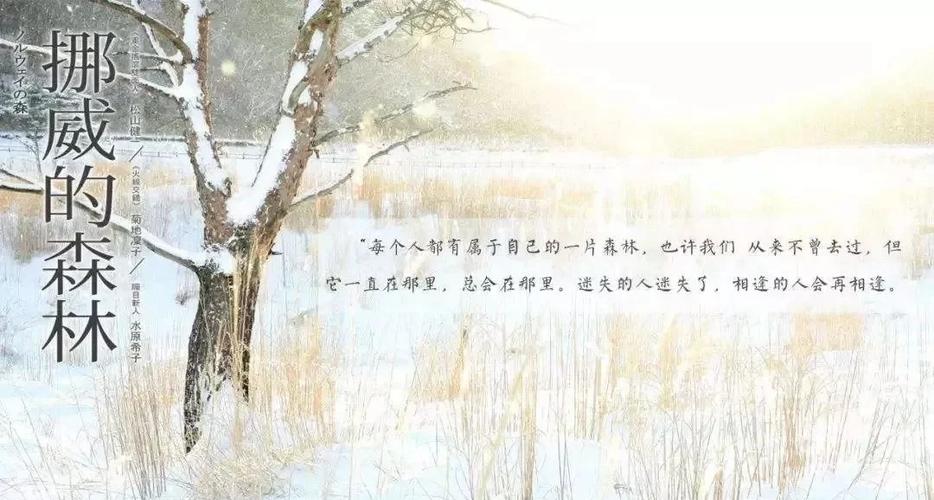 伦理小说在线阅读:禁忌爱恋与人性纠葛的深度探寻