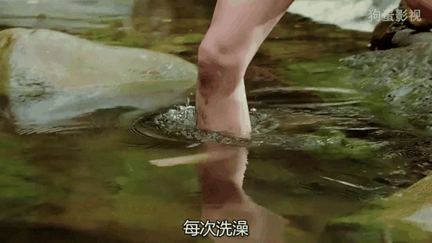 猛男诞生记在线阅读 - 热血逆袭，从平凡到巅峰的成长史