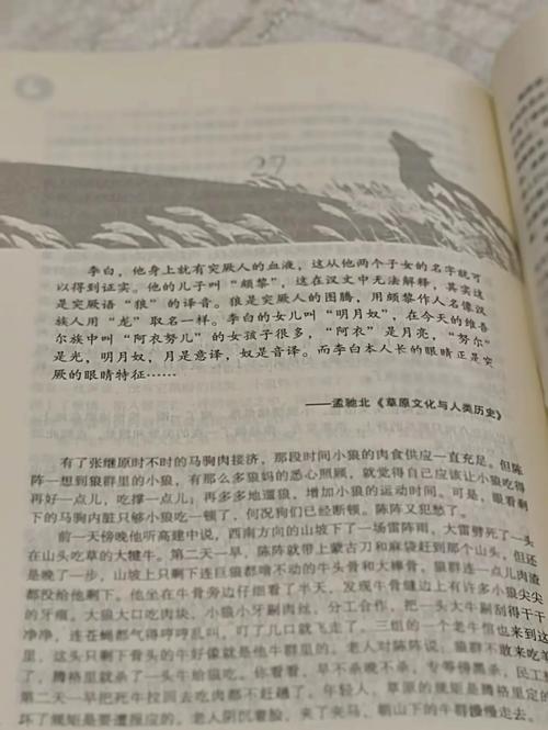 痴婆子传免费翻译全文在线阅读 | 白话文对照版