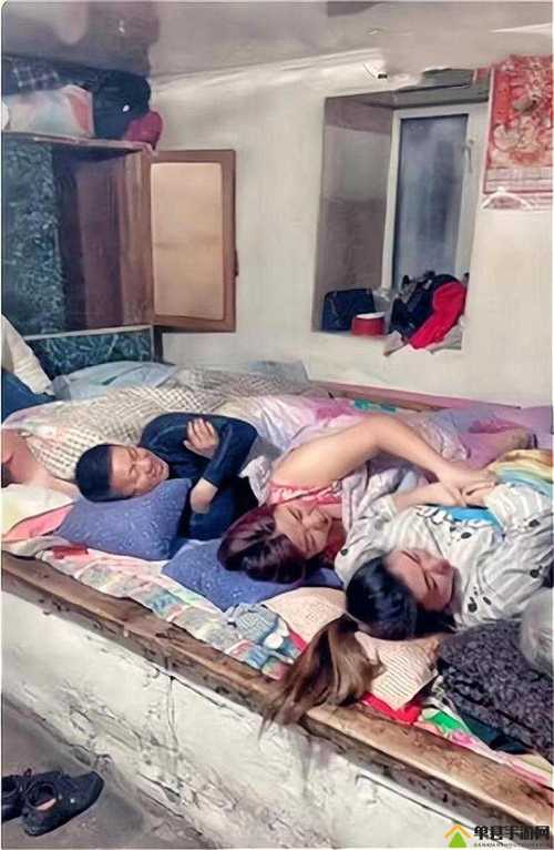 红高粱原著在线阅读 | 莫言经典小说《红高粱家族》全文无删减