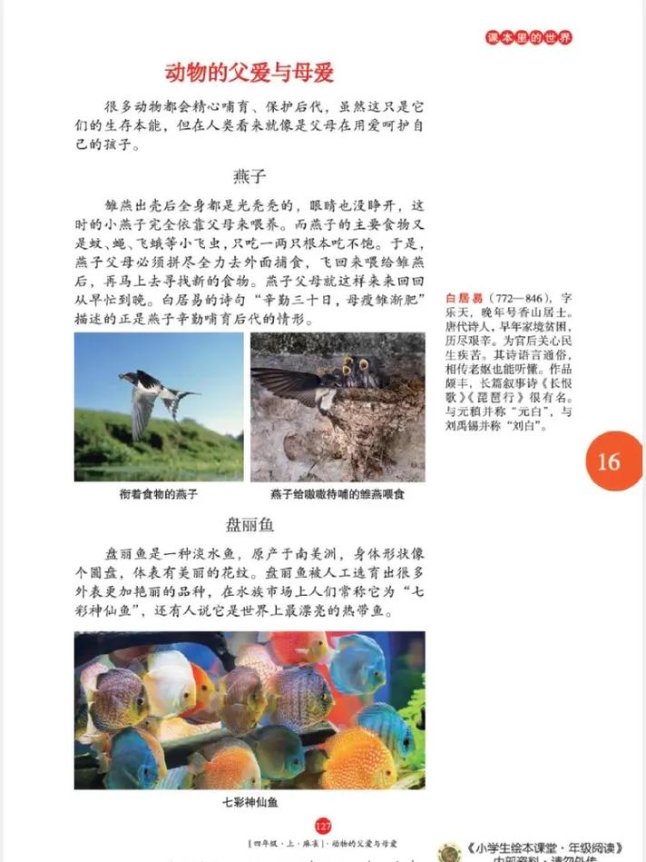 白洁传全文无删减版_白洁传在线阅读_热门小说推荐