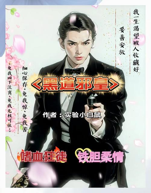 《黑道邪皇》全文阅读——霸者崛起，纵横黑道巅峰