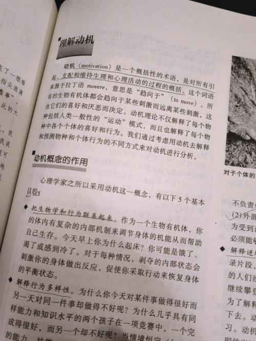 修仙聊天群在线阅读 - 热门修仙小说全集免费阅读